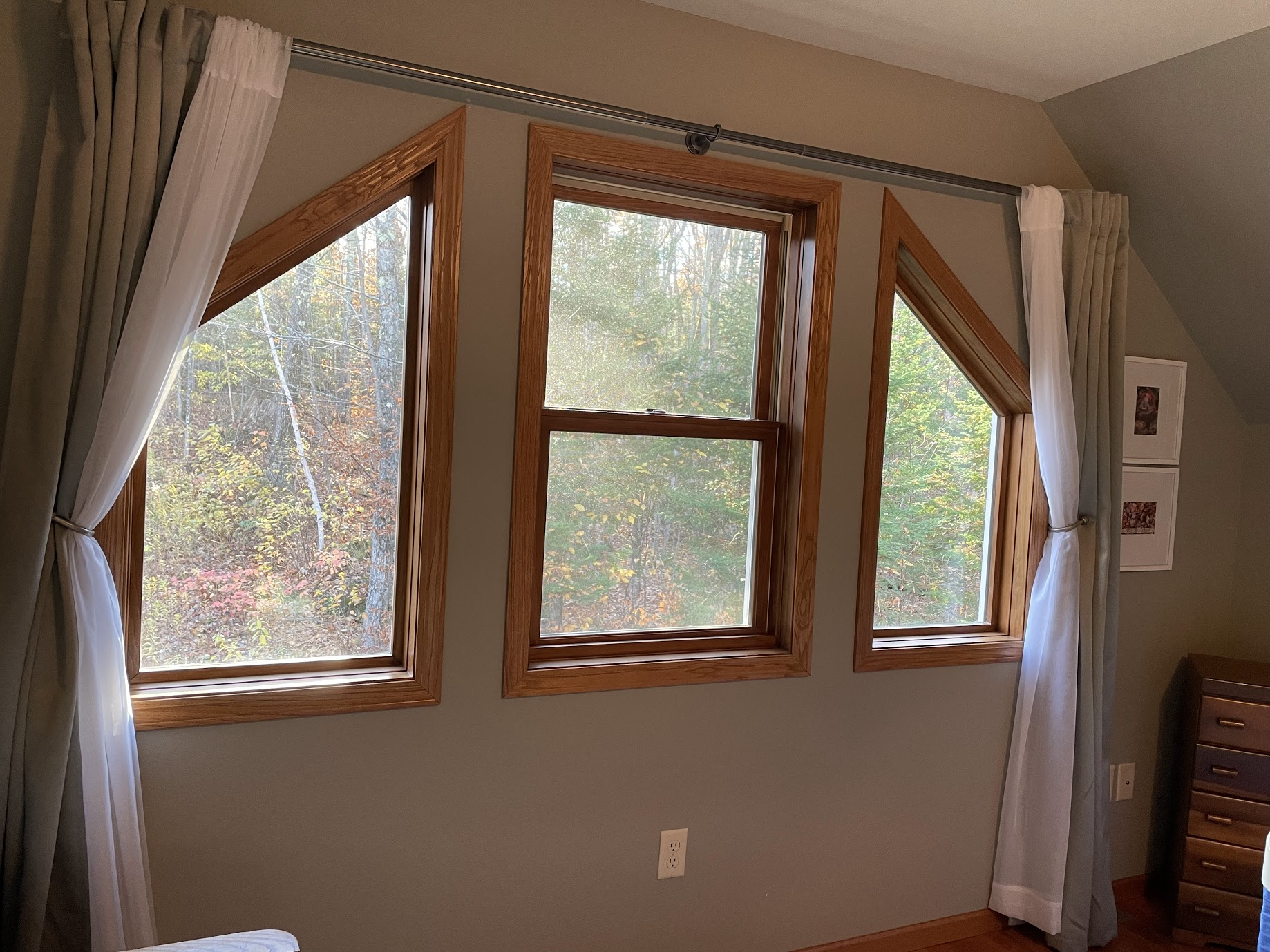 View of woods out the living room in Rock Garden Fall time