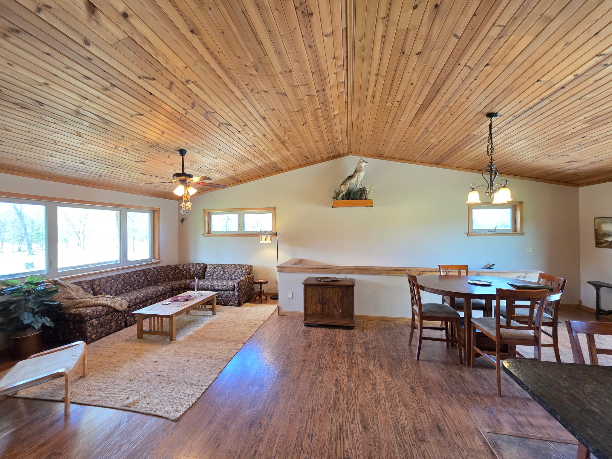 Living room and dining area