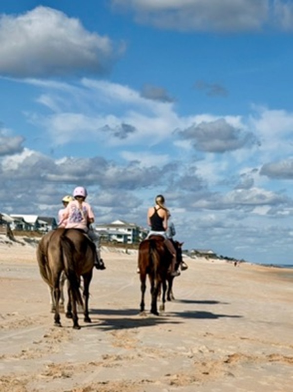 Morning light, salty air, and the steady rhythm of hoofbeats turn a simple beach ride into a family memory in motion. Along this wide, quiet shore, every step feels softer, every laugh lingers longer, and togetherness comes easy.