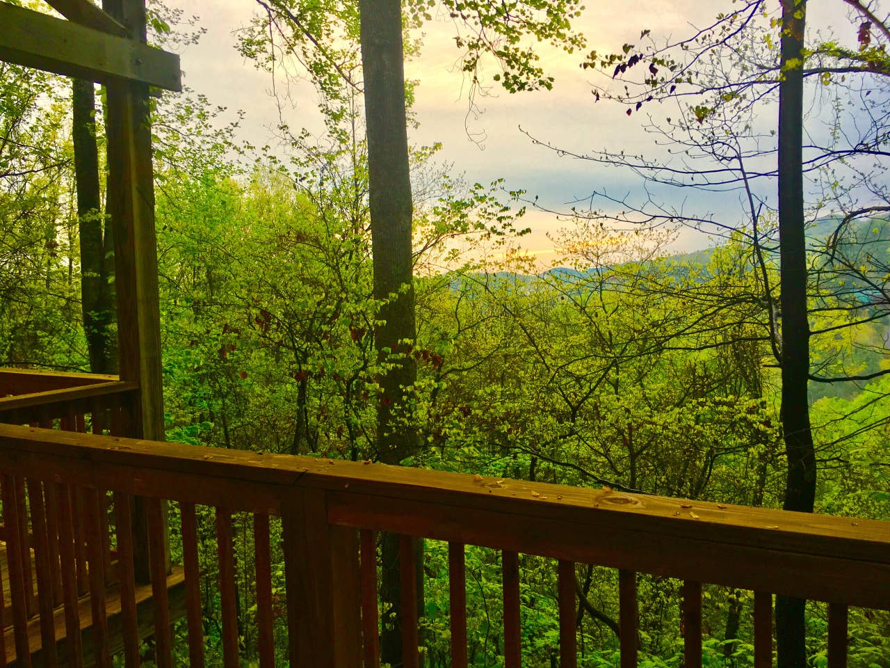 View 5
