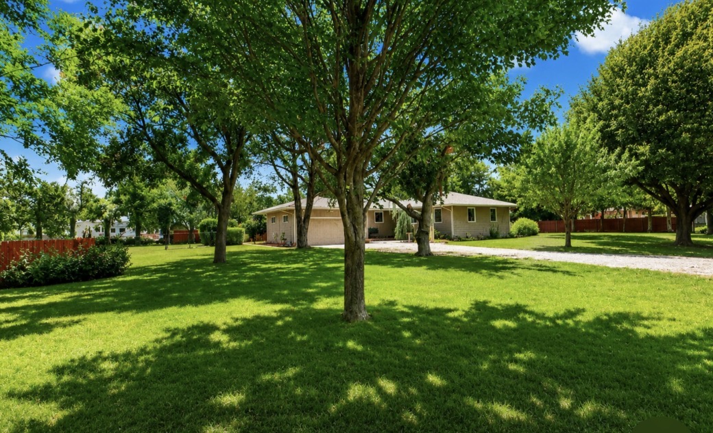 Lush, spacious yard