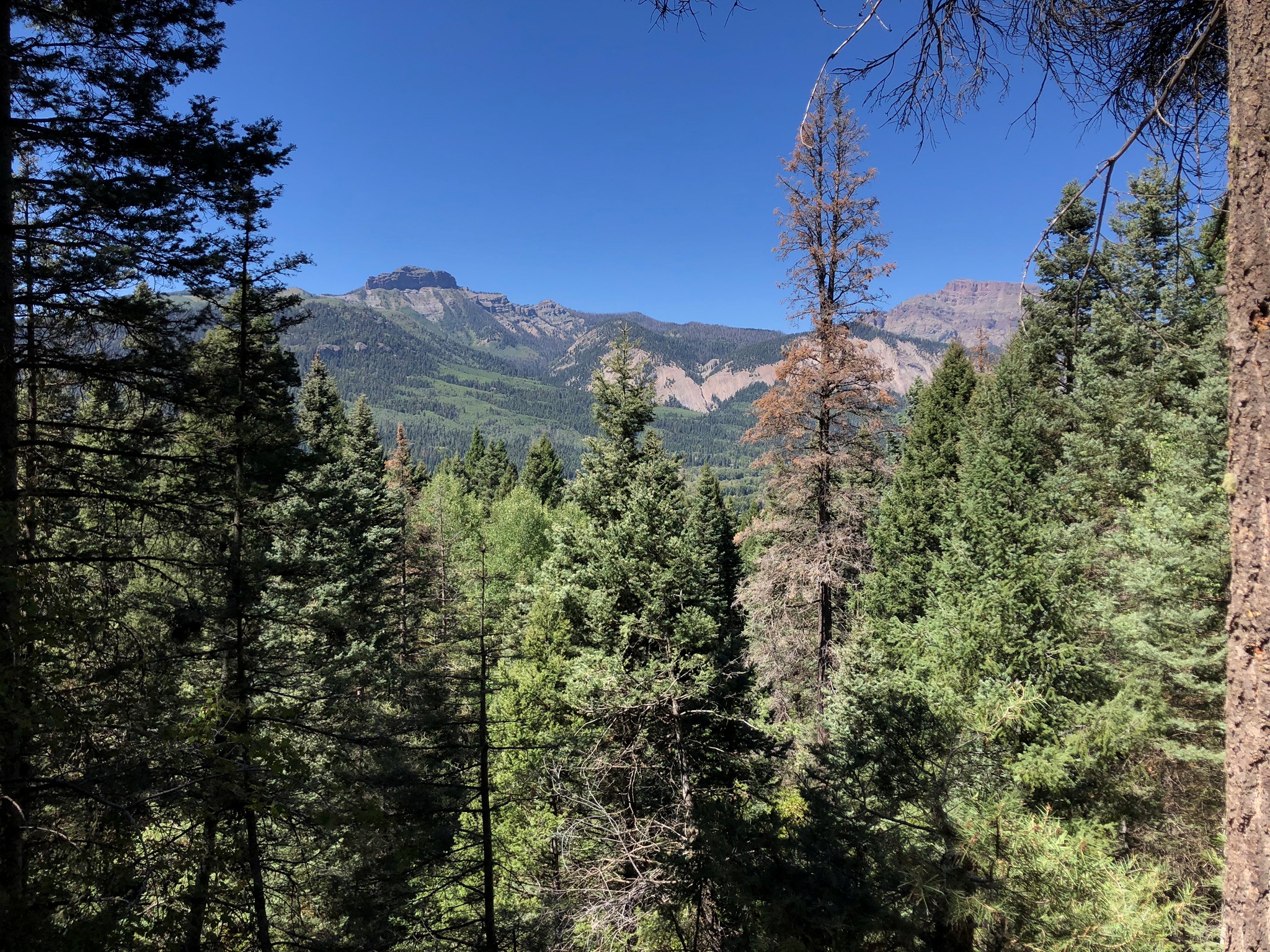 The Relaxing Mountain Chalet is in the heart of the San Juan Mountains, Colorado.