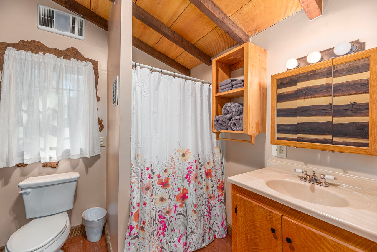 The bathroom has the basic setup