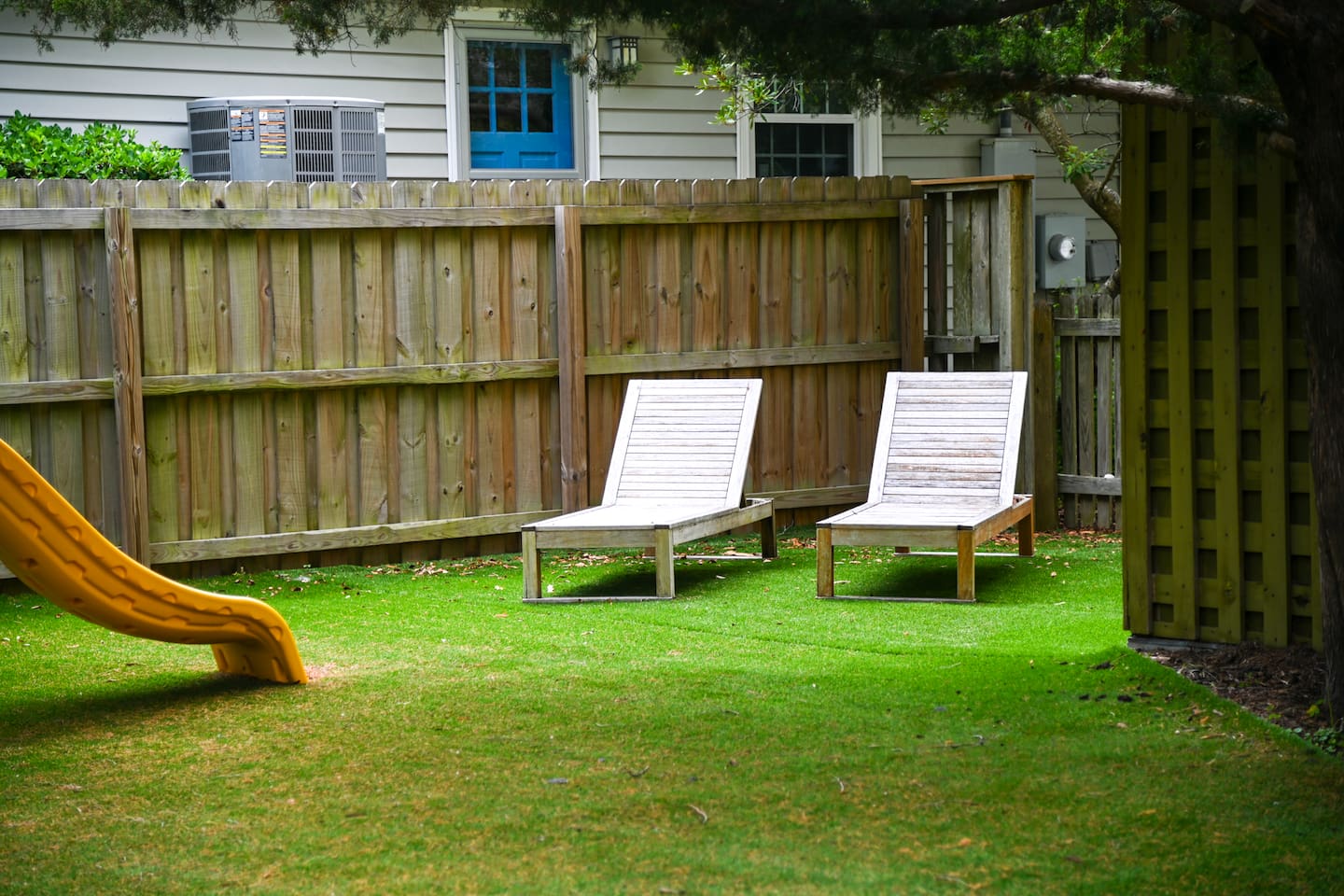 Backyard