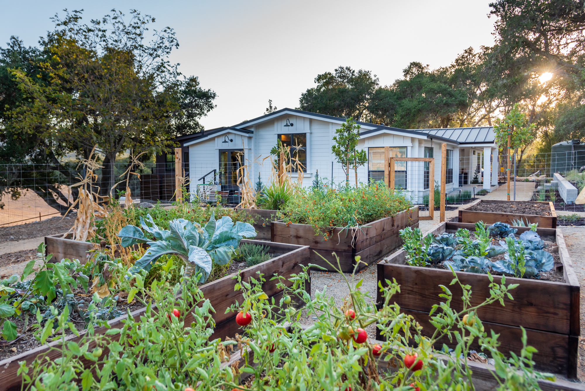 Lush raised garden beds filled with fresh produce just steps from the home.