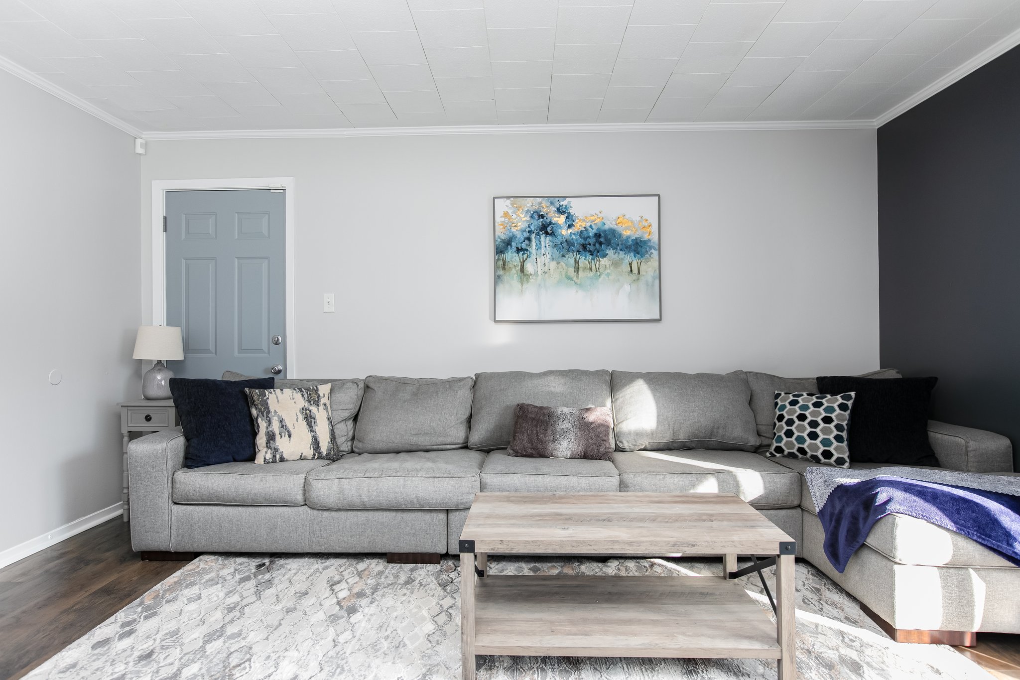 Living Room Couch