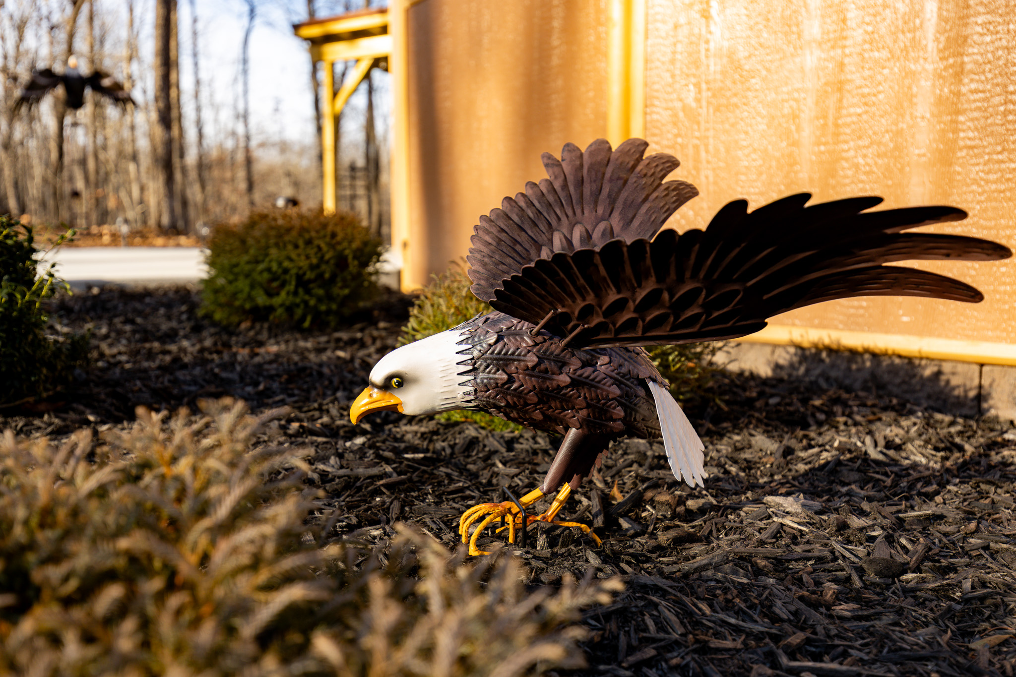 Eagle-inspired details throughout the property