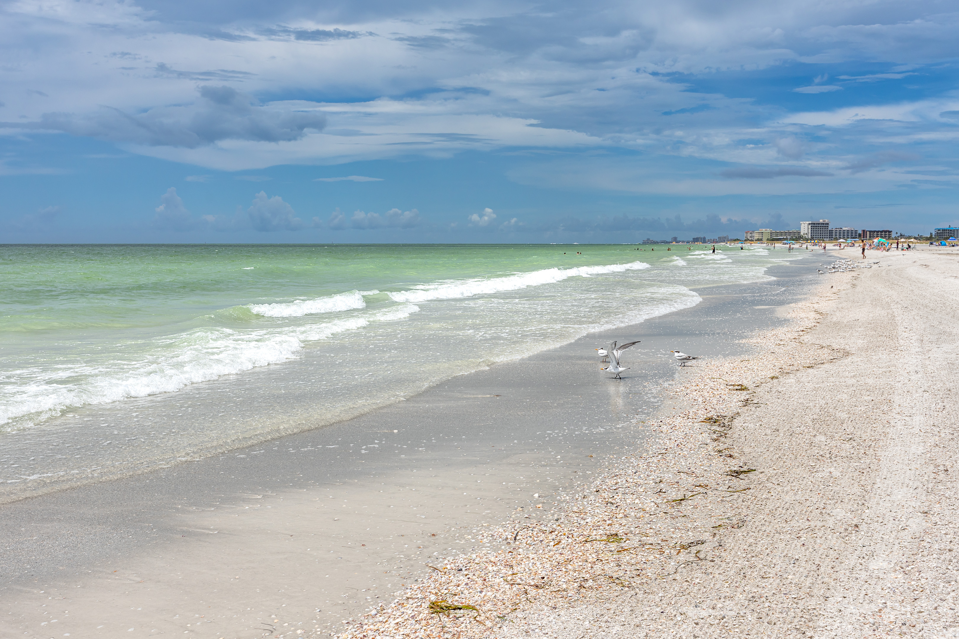 Those Morning Walks on The Beach