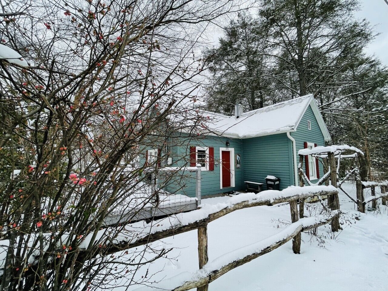 Blue Heron street view