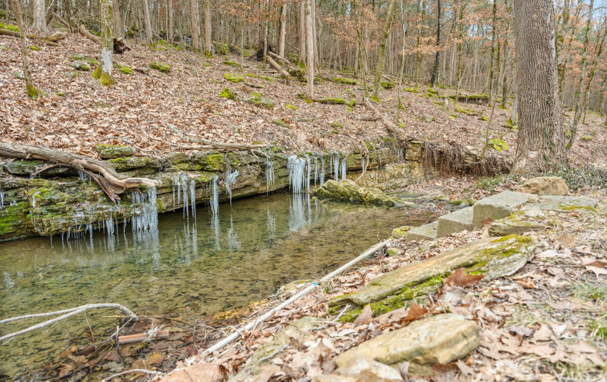 Seasonal Creek right next to the cabin!