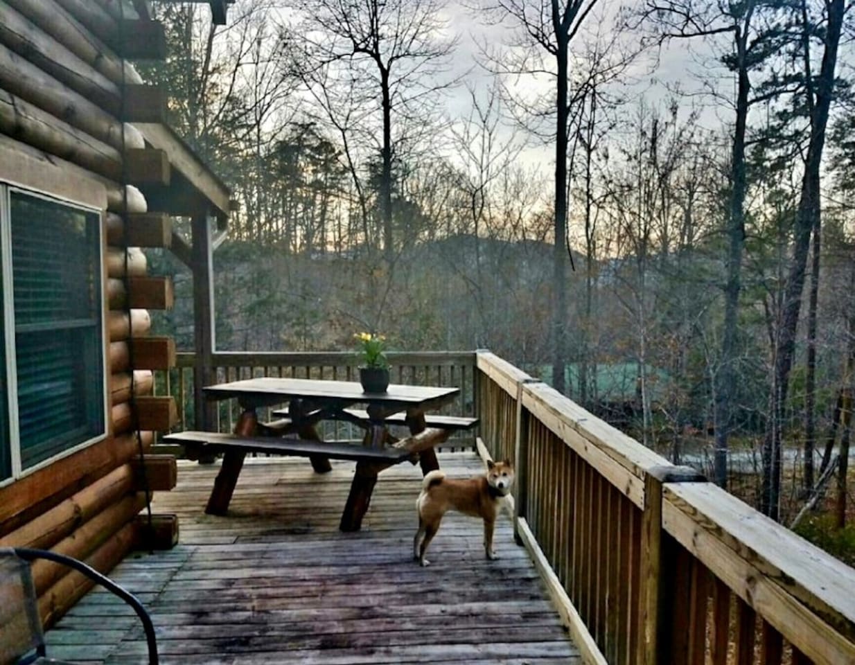 Wrap around deck with rocking chairs, picnic table and grill