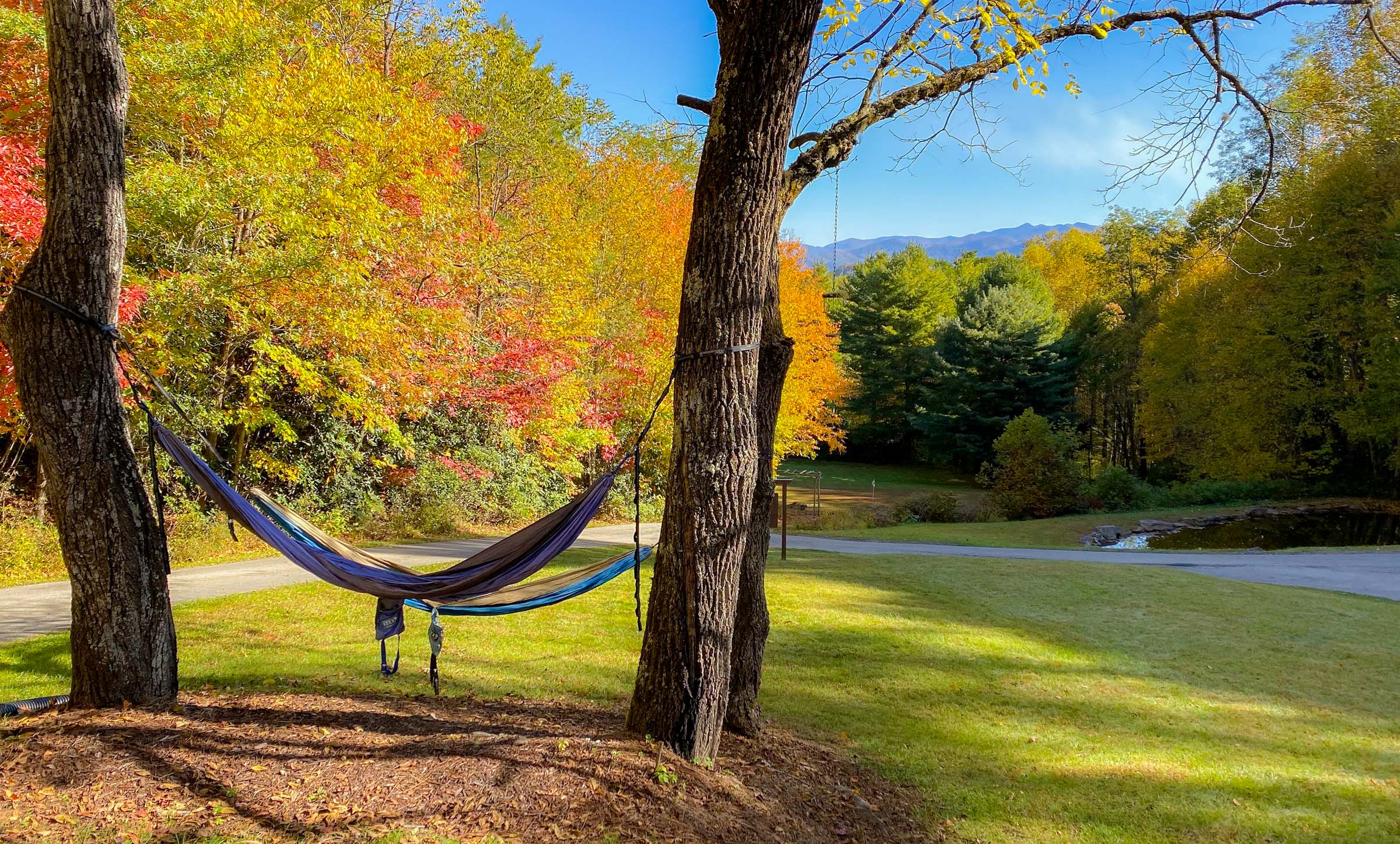 some relaxing hammocks at the Hive