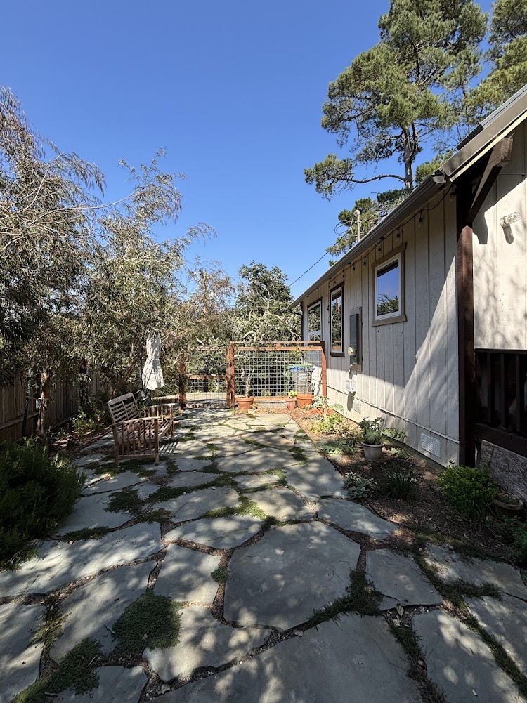 Back/side yard