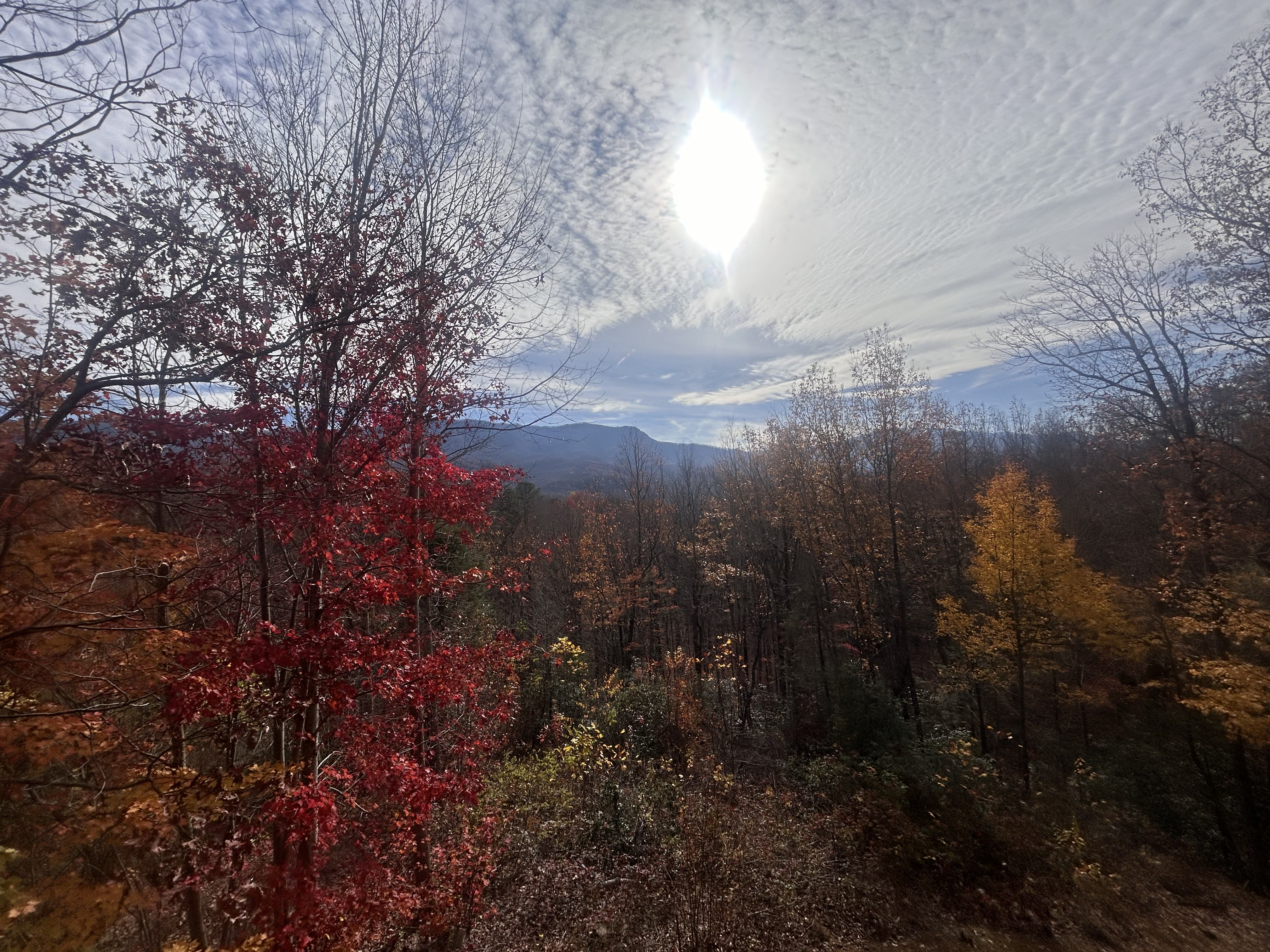 View 4