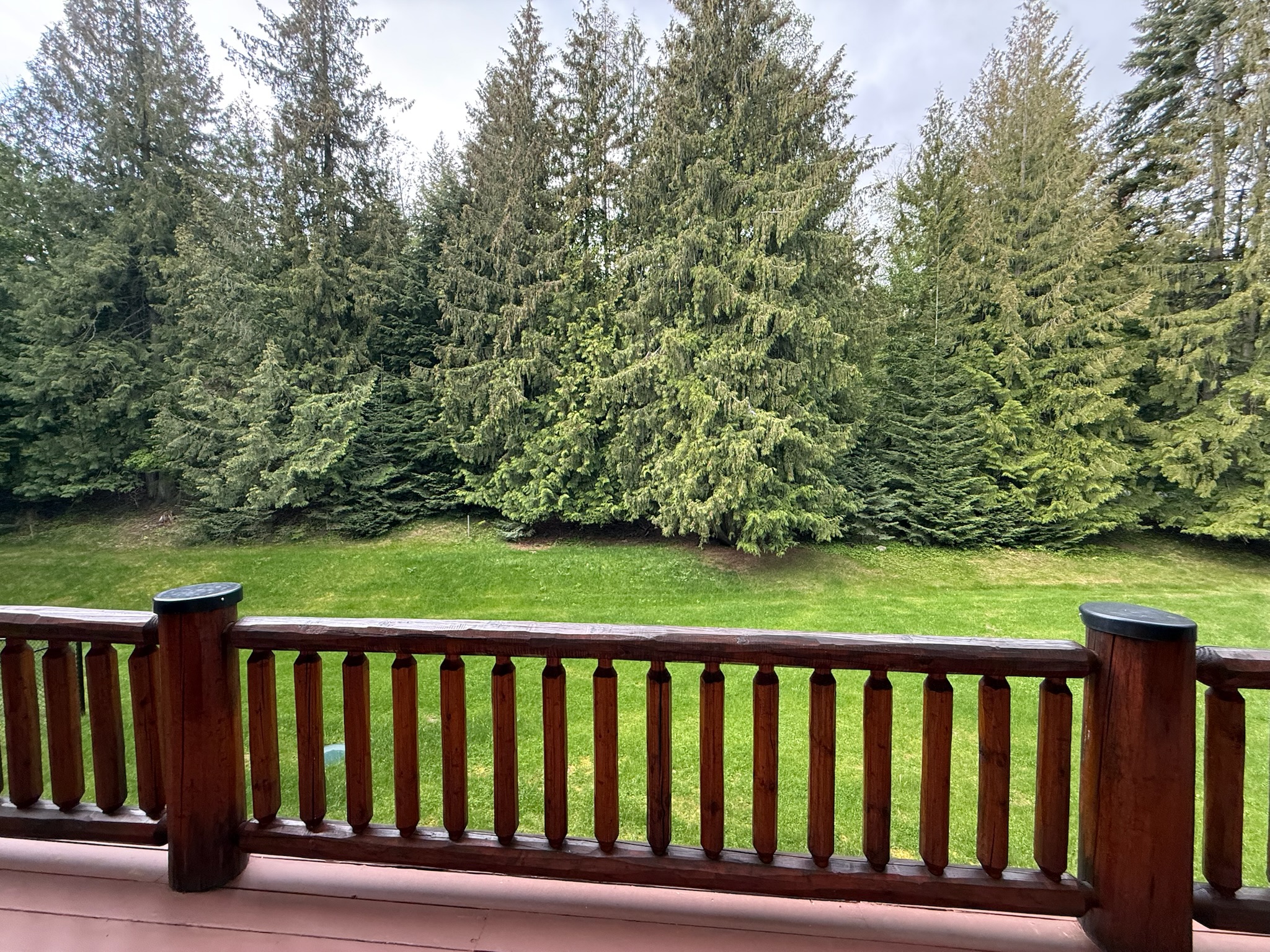 Back deck overlooking lawn 