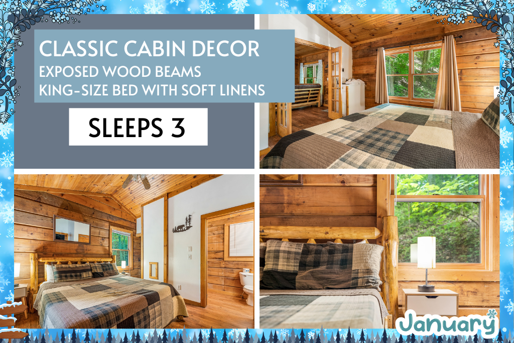 Classic cabin design meets modern comfort—sleeps 3 with ease