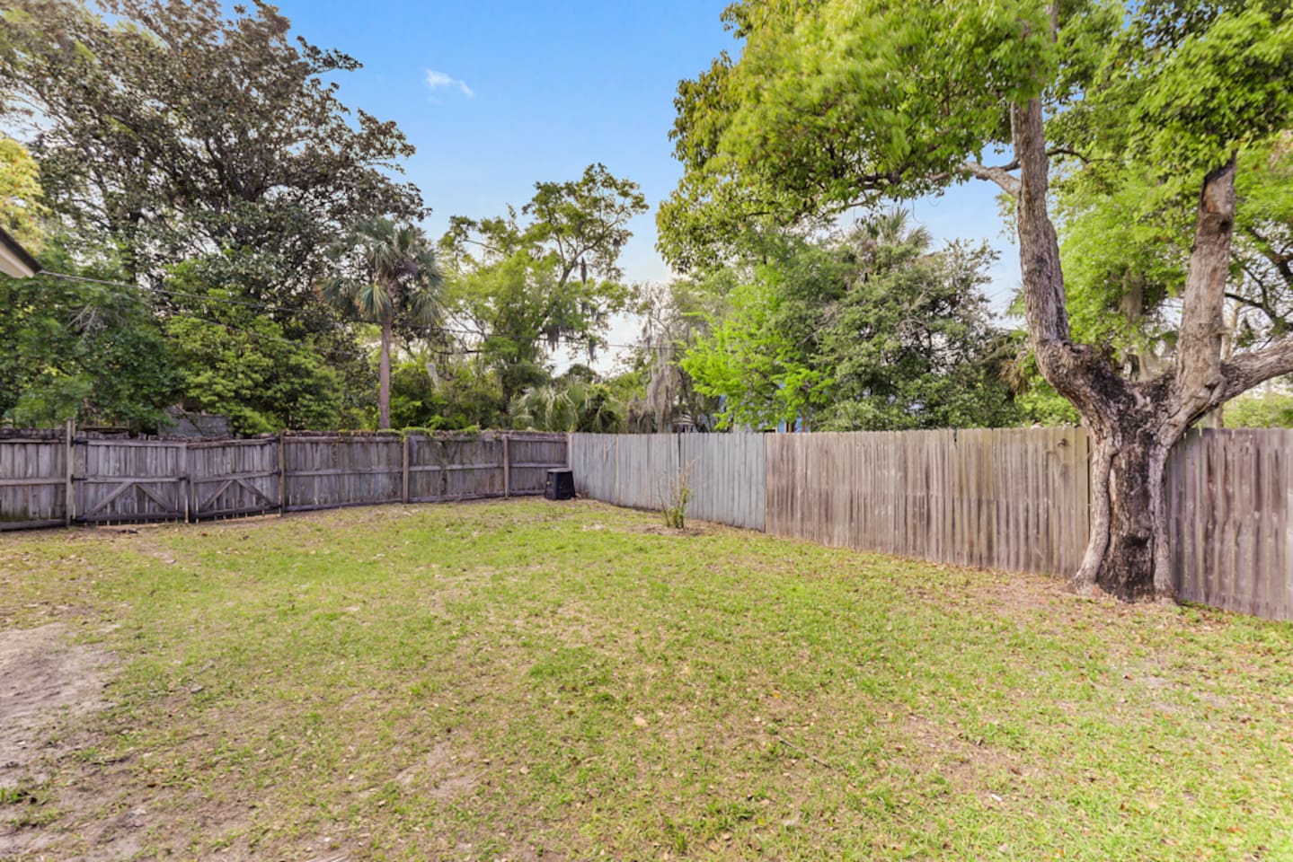 Backyard