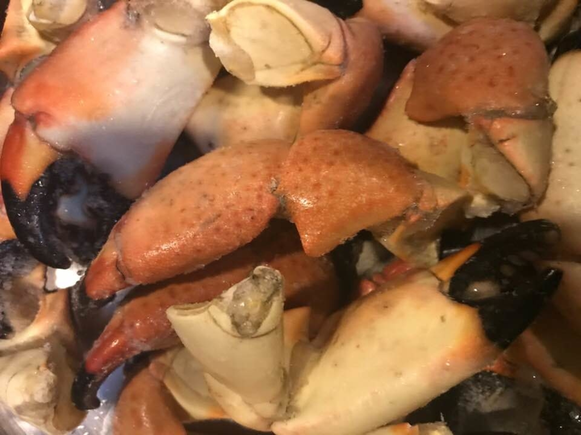 Stone Crab Season Oct 15 - May 1