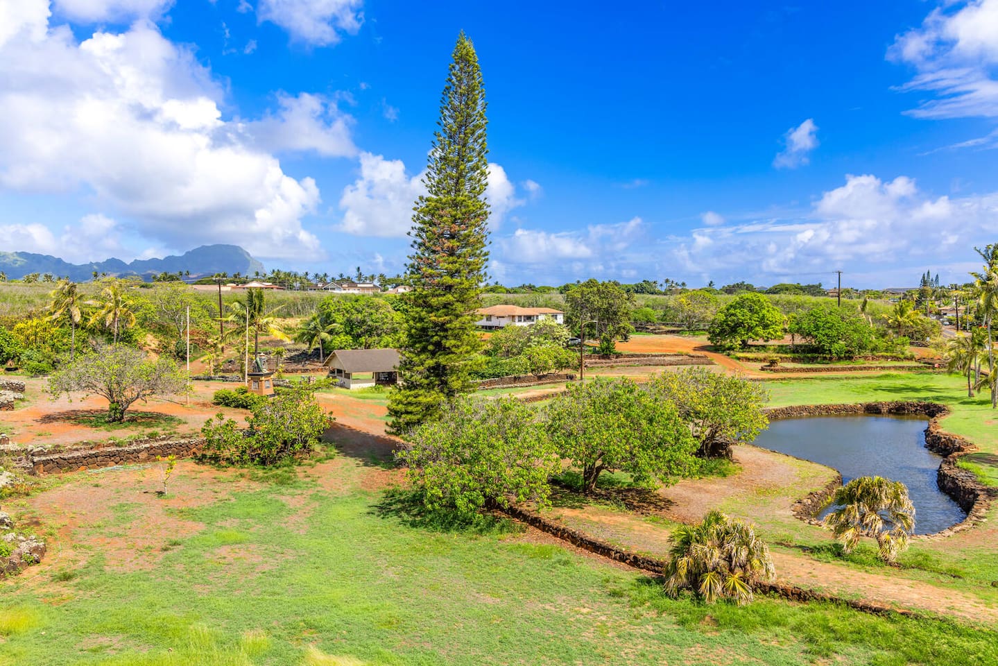 View of Prince Kuhio Park from the Roof Top