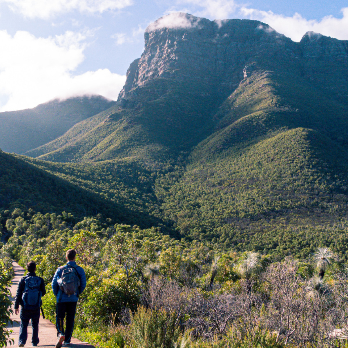 Hiking at The Porongorups