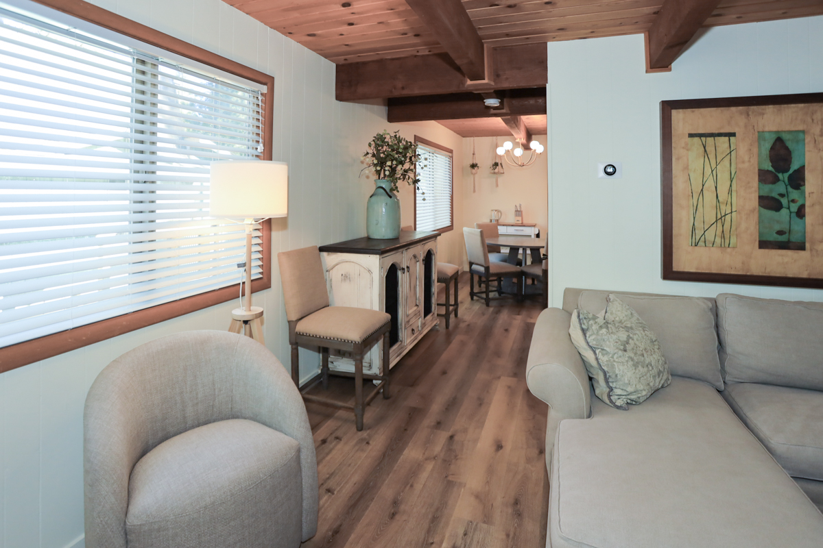 Living / Dining area