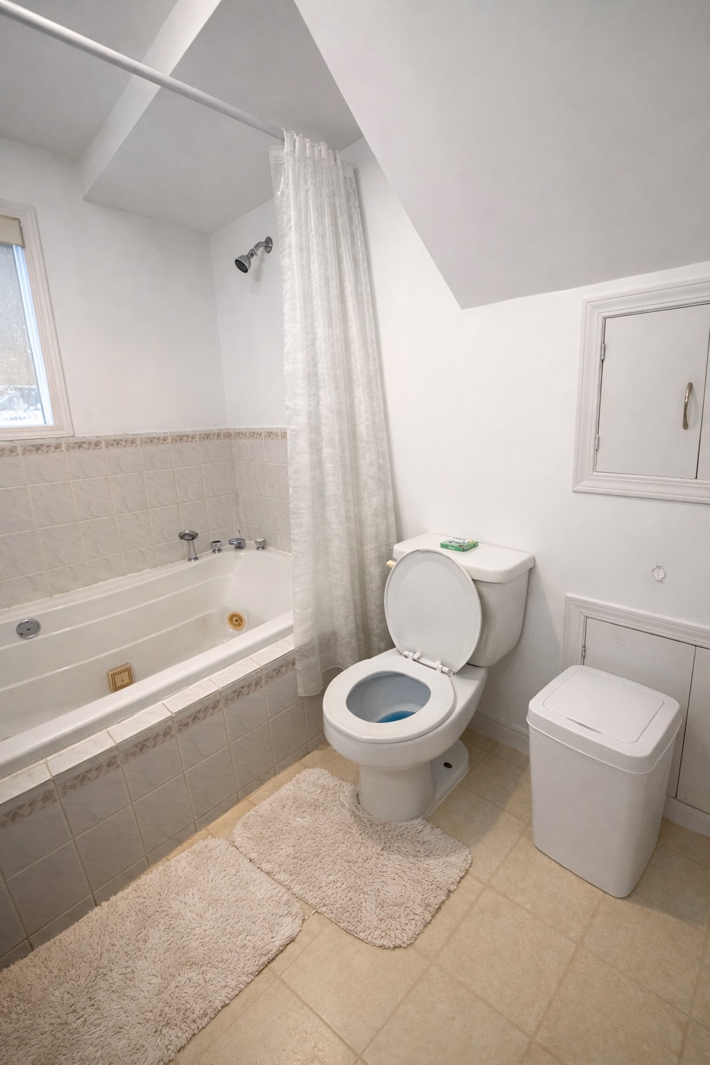 Jacuzzi Tub & Shower