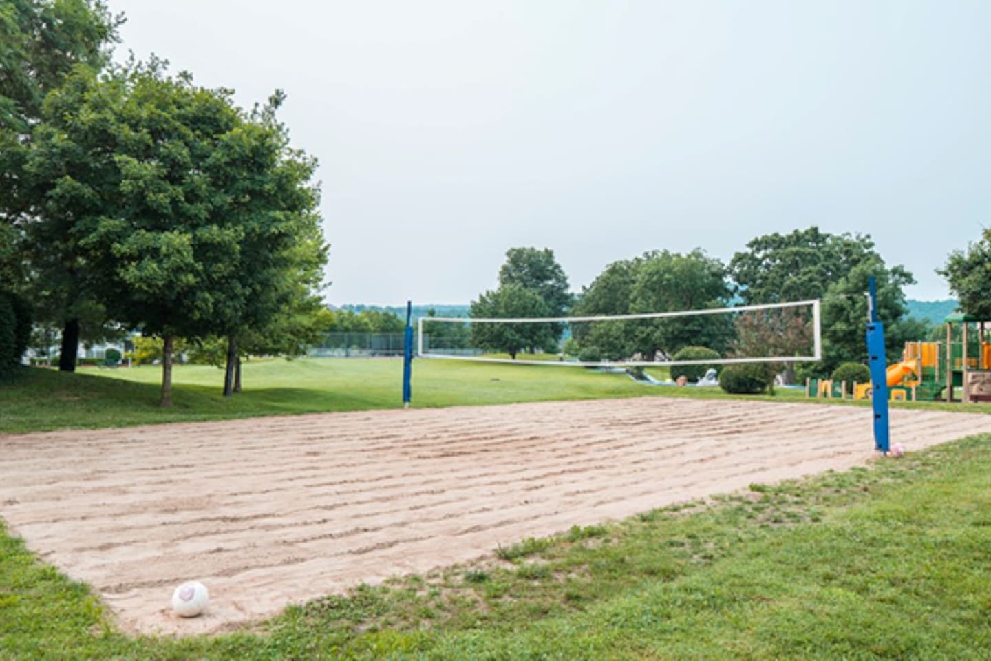 Volleyball