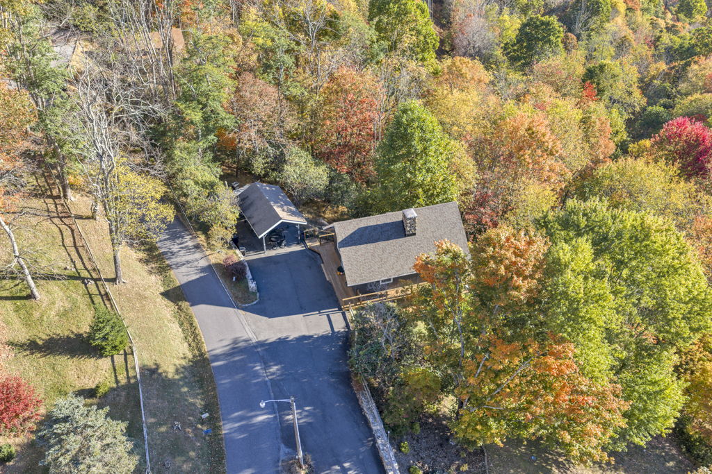 Fall @ WishYouWereHere7Devils is what Leaf Peeping dreams are made of! These October 2025 photos & videos were incredible!