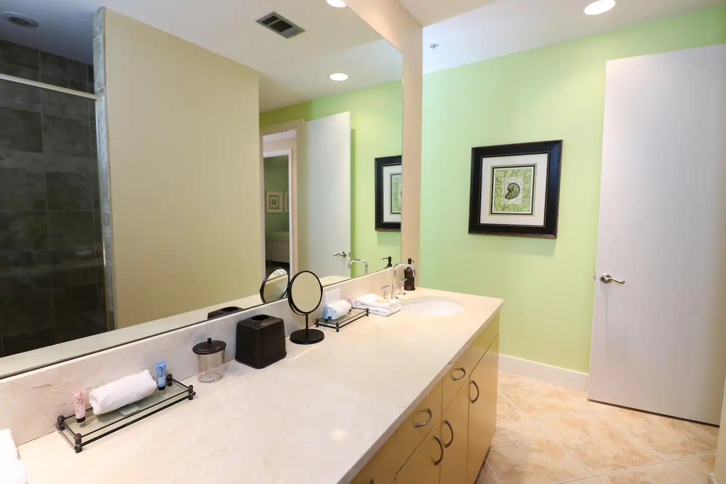 Primary bathroom