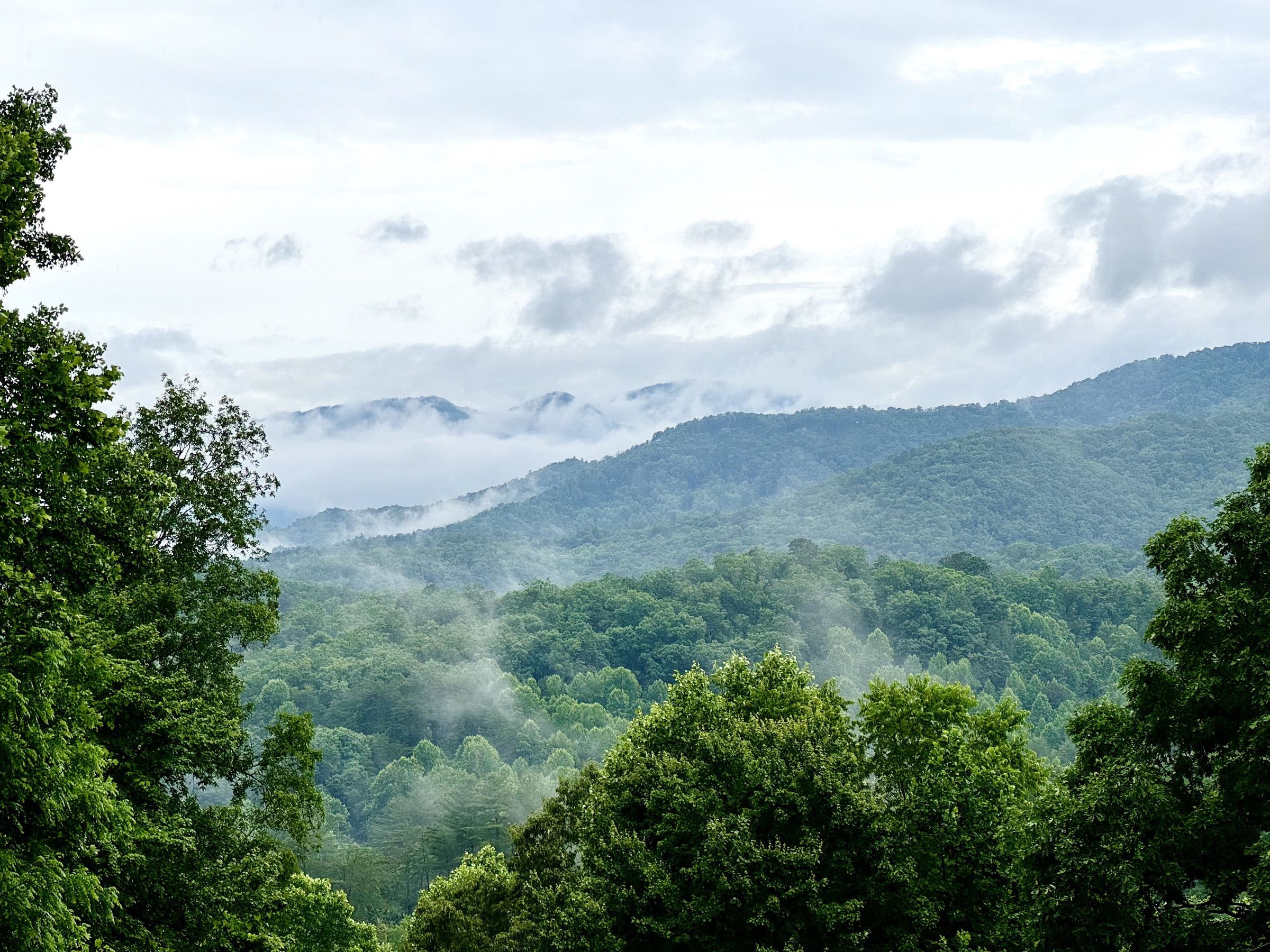 Morning Views are truly Spectacular in the Smokies!