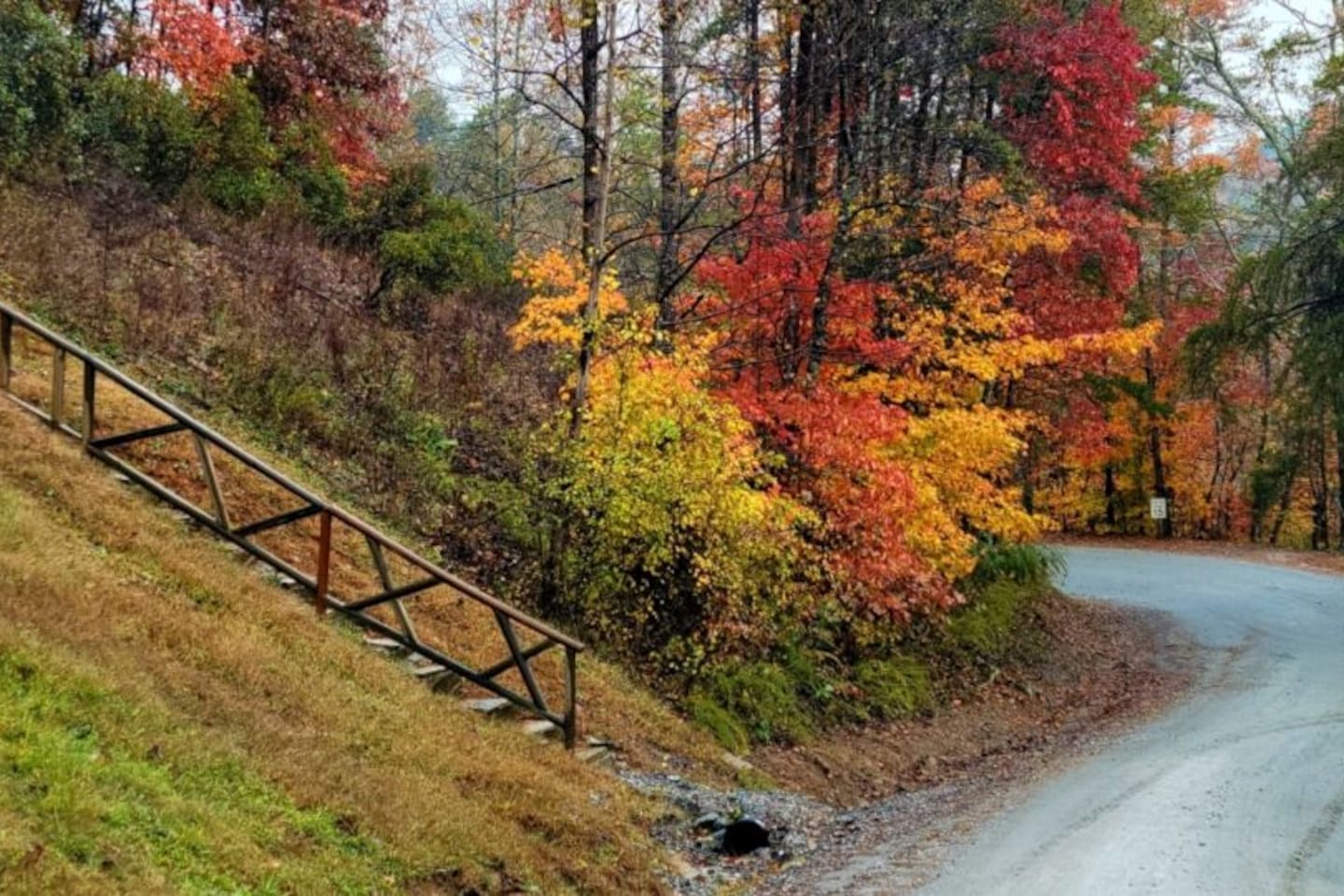 Steps in back yard to beach, lake and river
