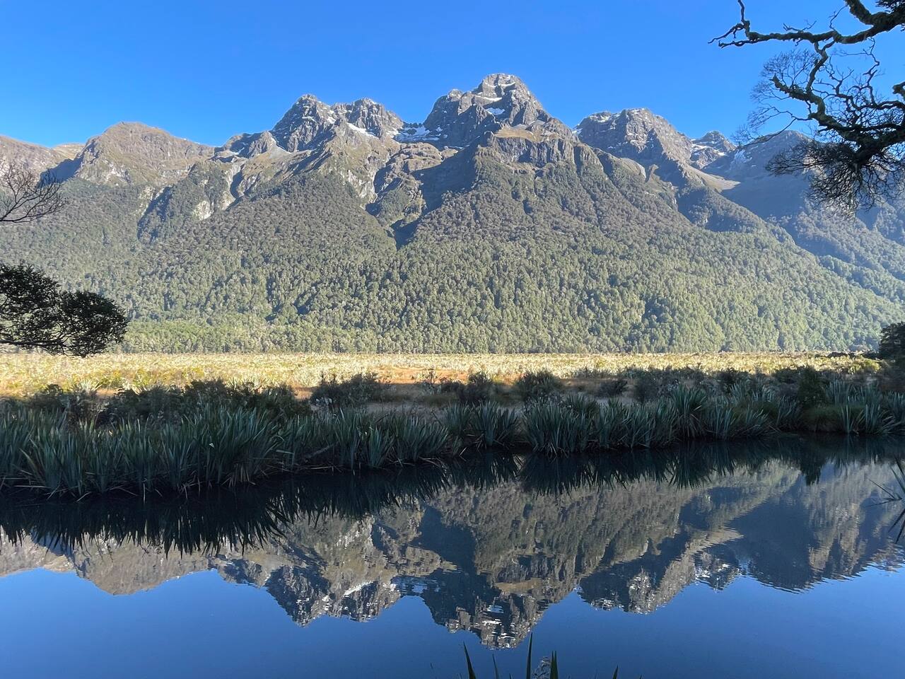 Going to Milford Sound? Stop at the Mirror Lakes! 