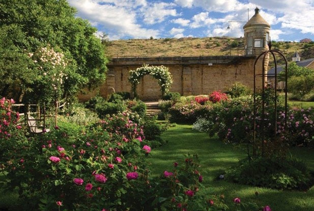 Boise Botanical Garden, where you can enjoy the flowers, amazing outdoor concerts, and the winter wonderland 