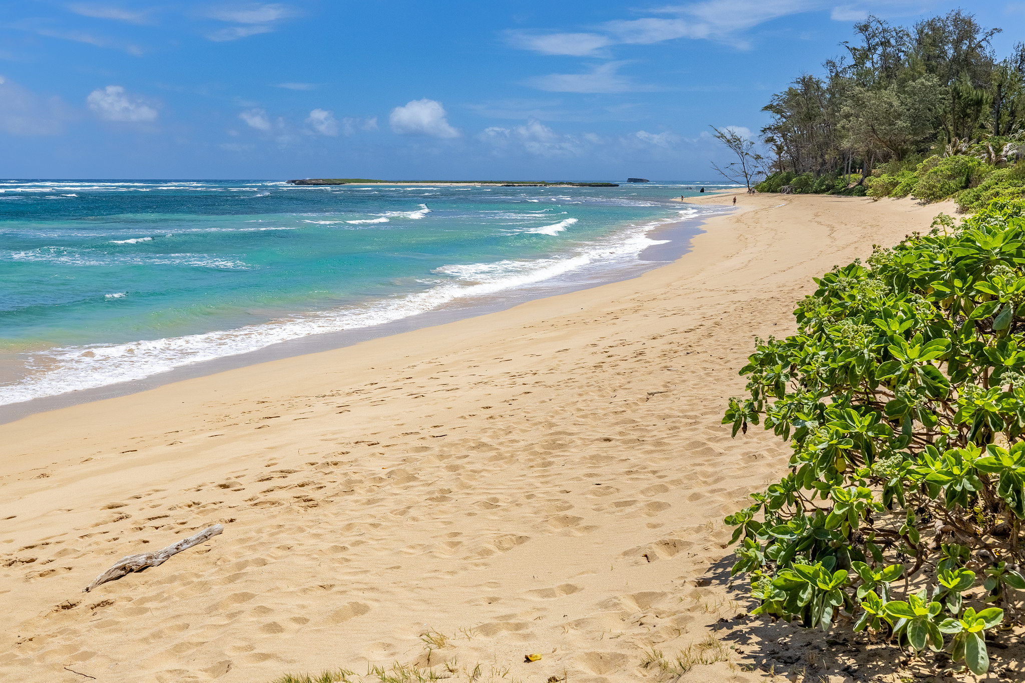 beach looking right, view of Goat Island (Mokuauia Island)