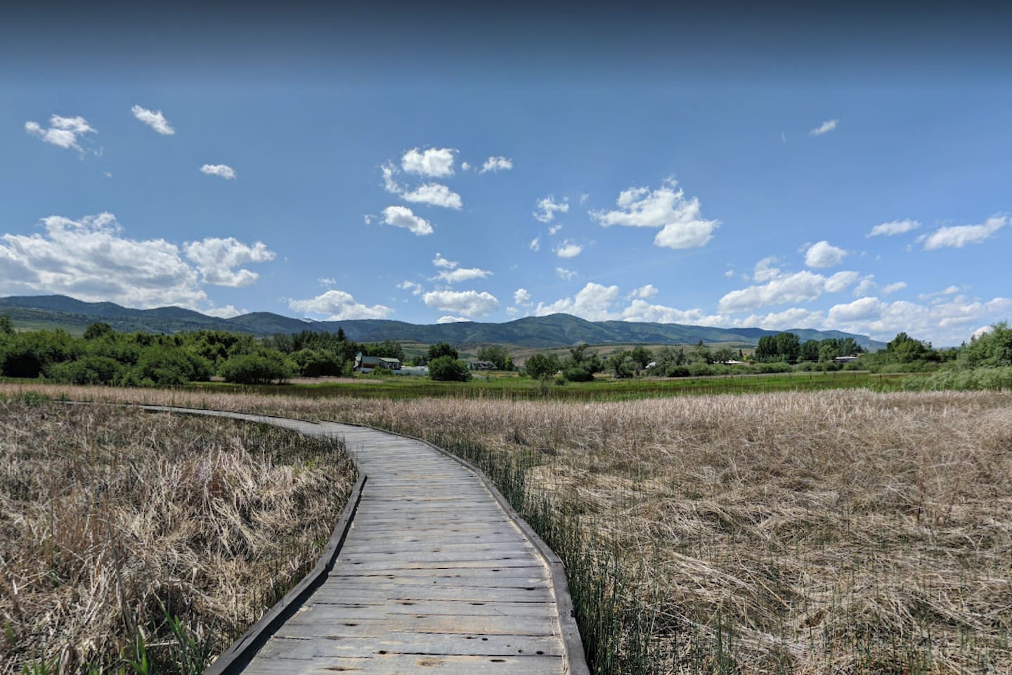 The relaxiing walk from the City Park to the beach is part of the fun!