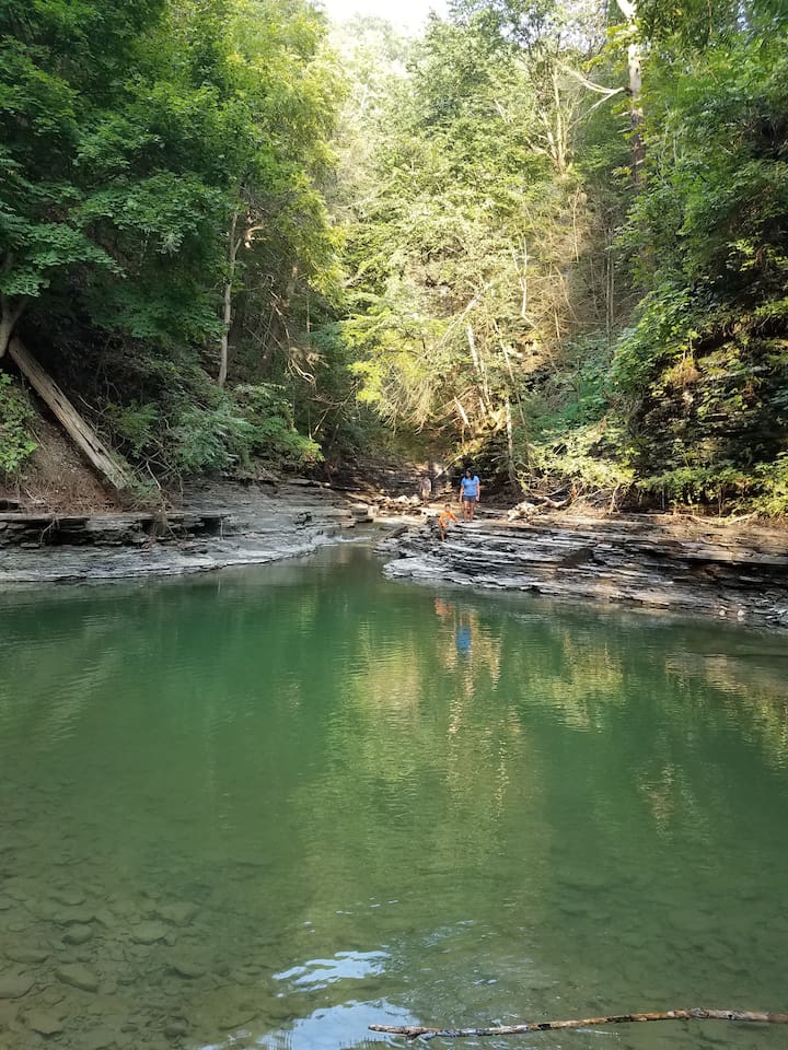 Plunge pool at the base of a waterfall in a nearby creek.