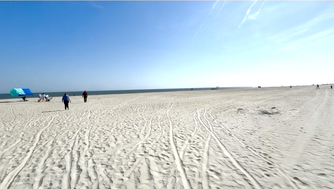 View of our dog-friendly beach during peak summer