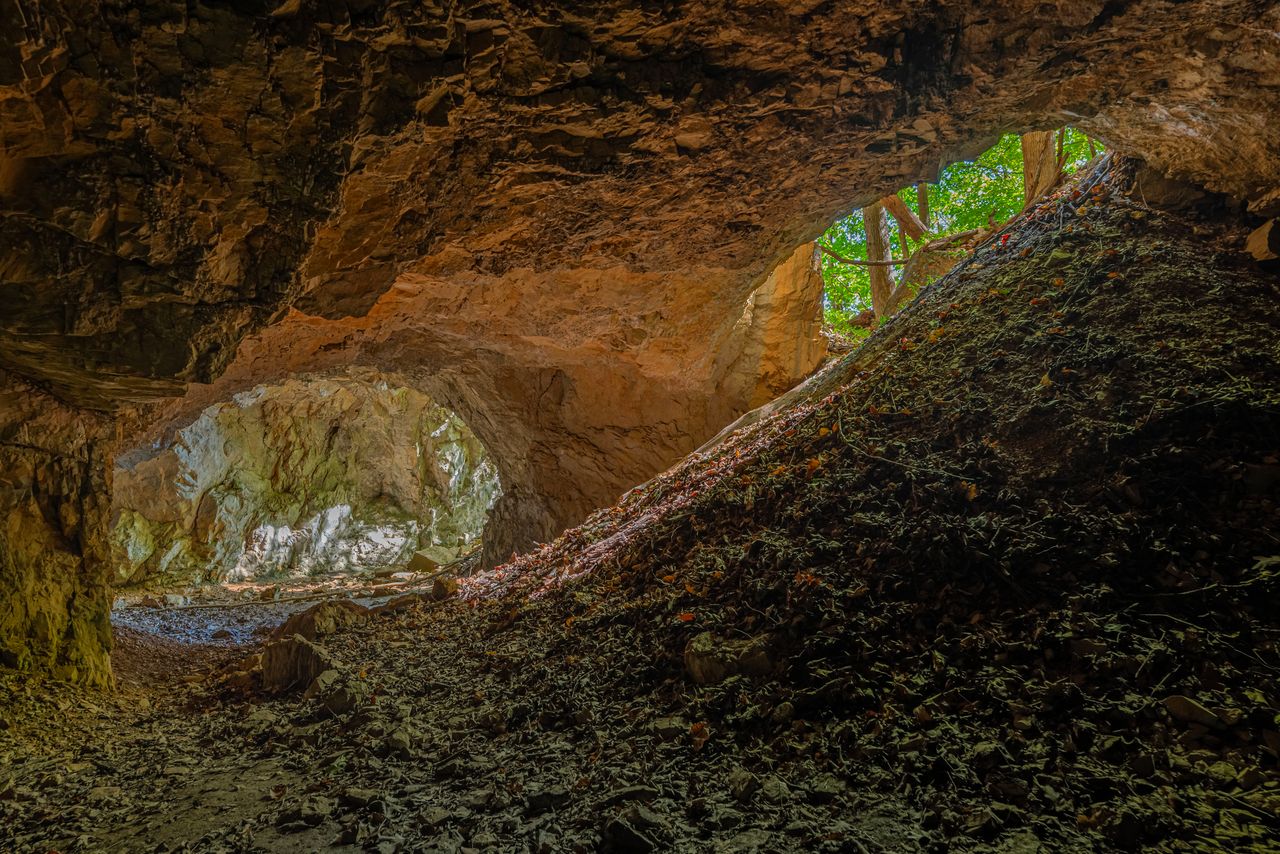 Looking out from the inside of the cave.