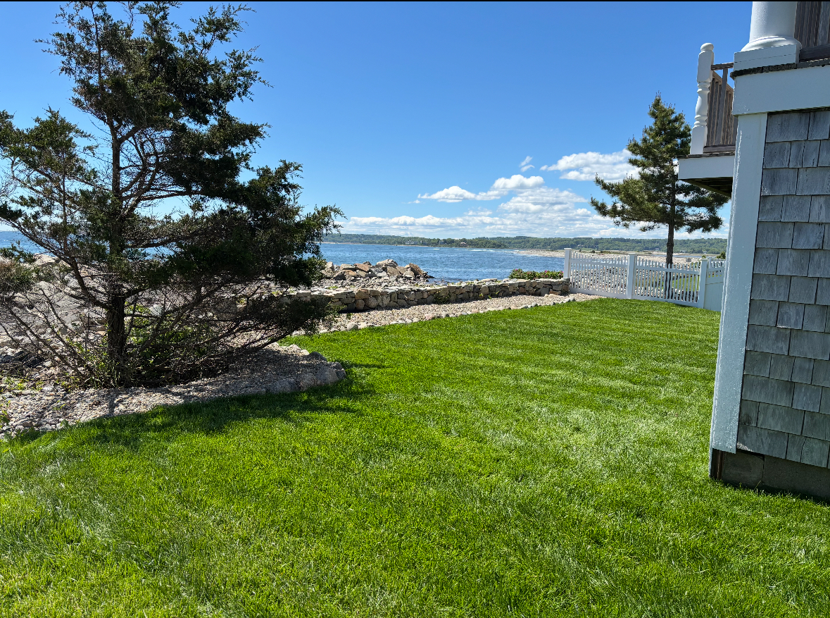 Spacious green backyard with ocean views, ideal for relaxing or entertaining.