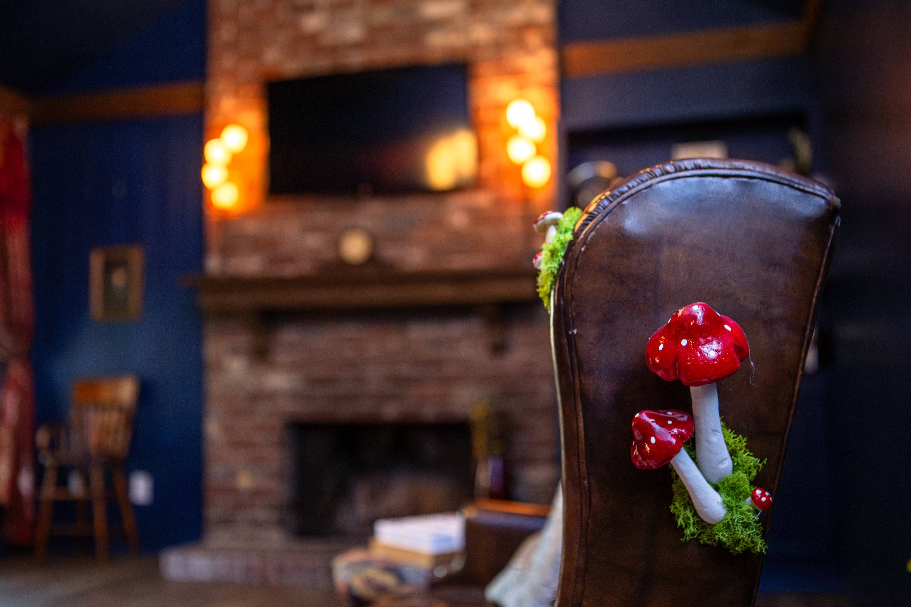 The Looking Glass Lounge