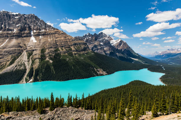 Peyto Lake - can you spot the wolf head?