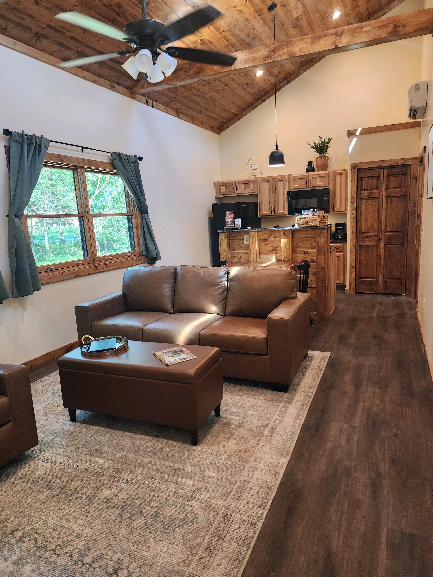 Living Room and Kitchen