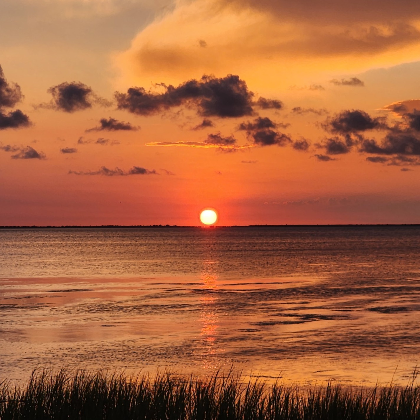 Book for amazing sunsets!