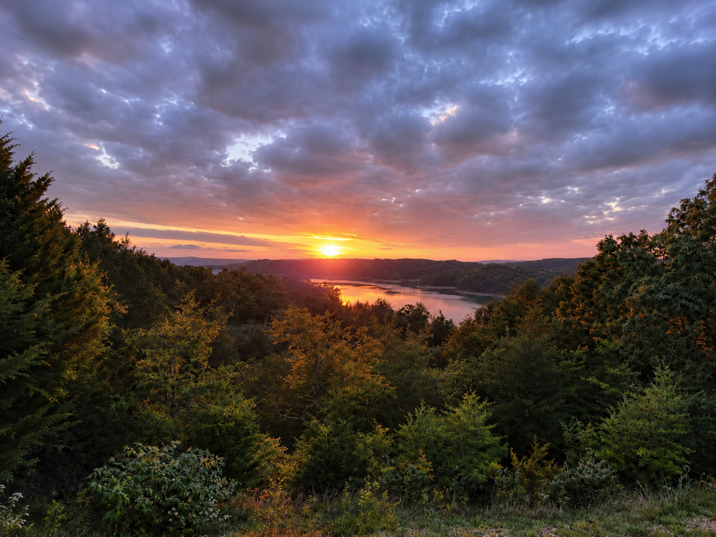 Wake up to sunrise over Douglas Lake - one of the signature views at Stay Kozy Lookout.