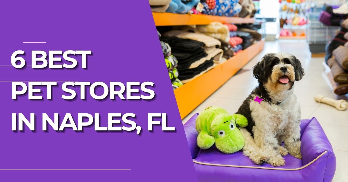 6 Best Pet Stores Naples FL Naples Florida Rentals