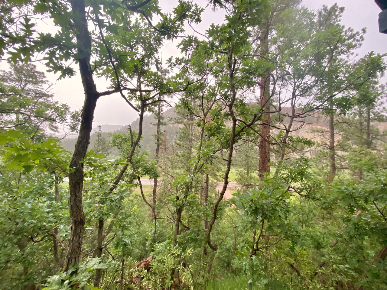 View overlooking cliffside.