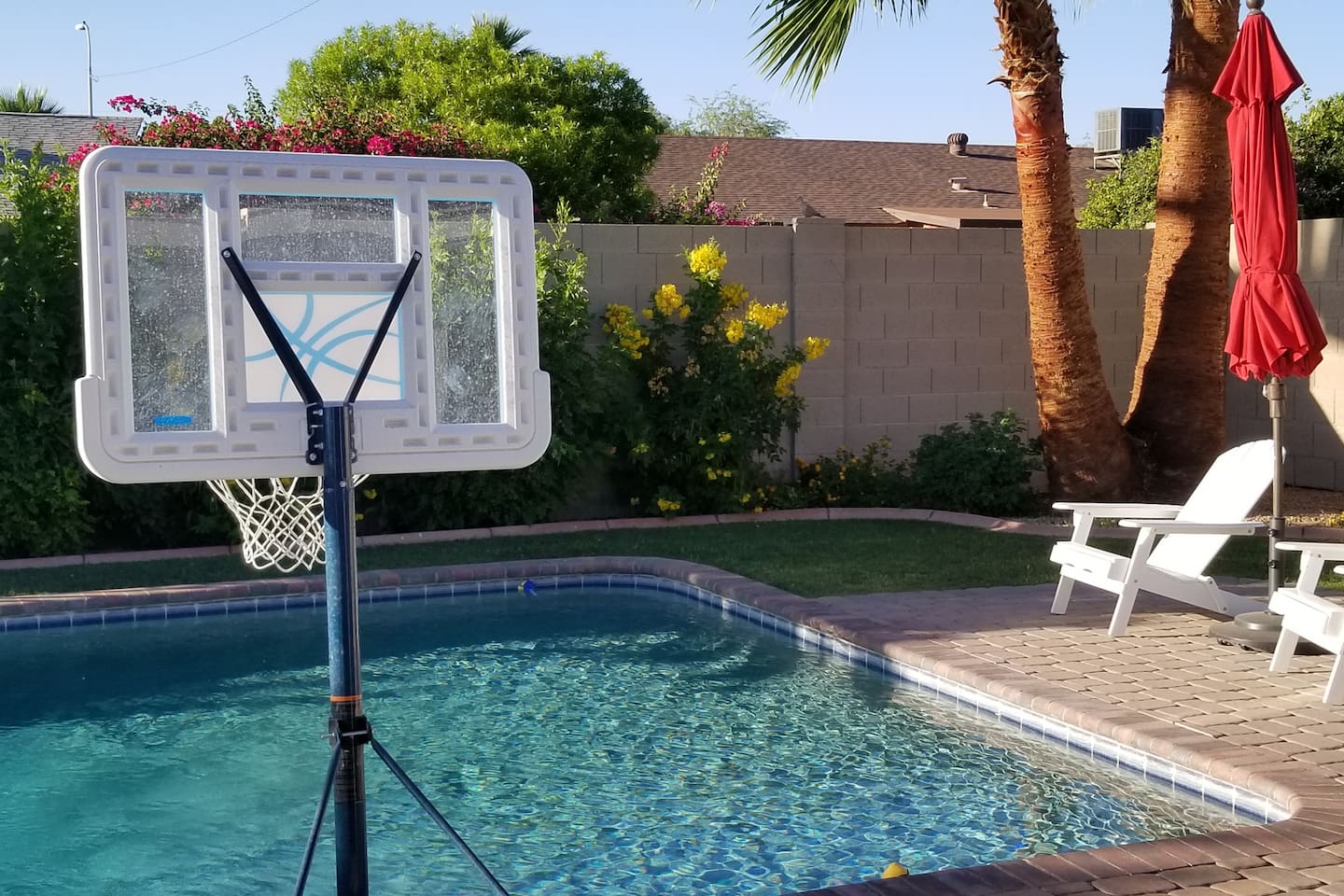 Pool House Pool Basketball