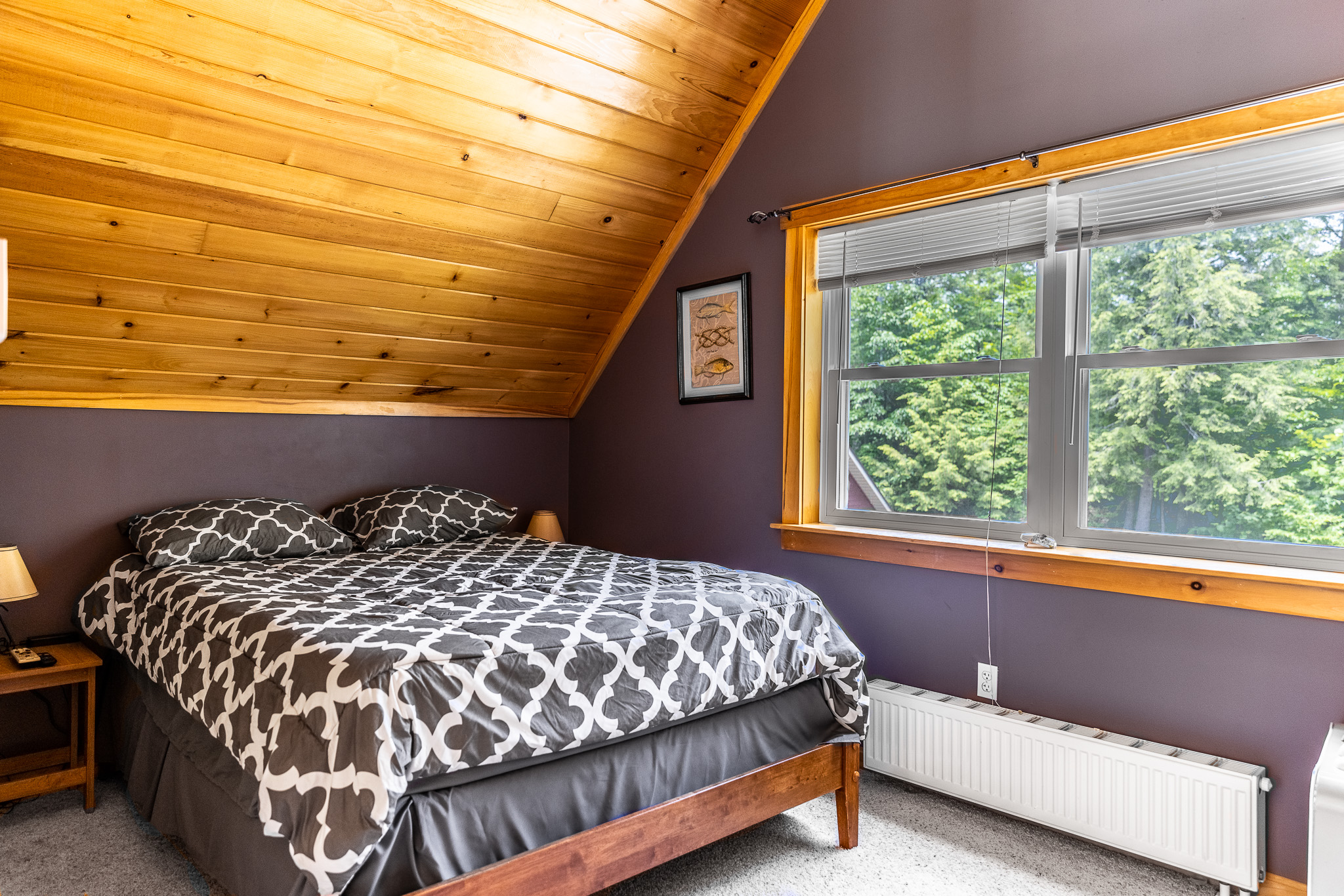 Upstairs loft with queen bed, ceiling fan, Roku TV, sleeper sofa, and 1/2 bathroom.