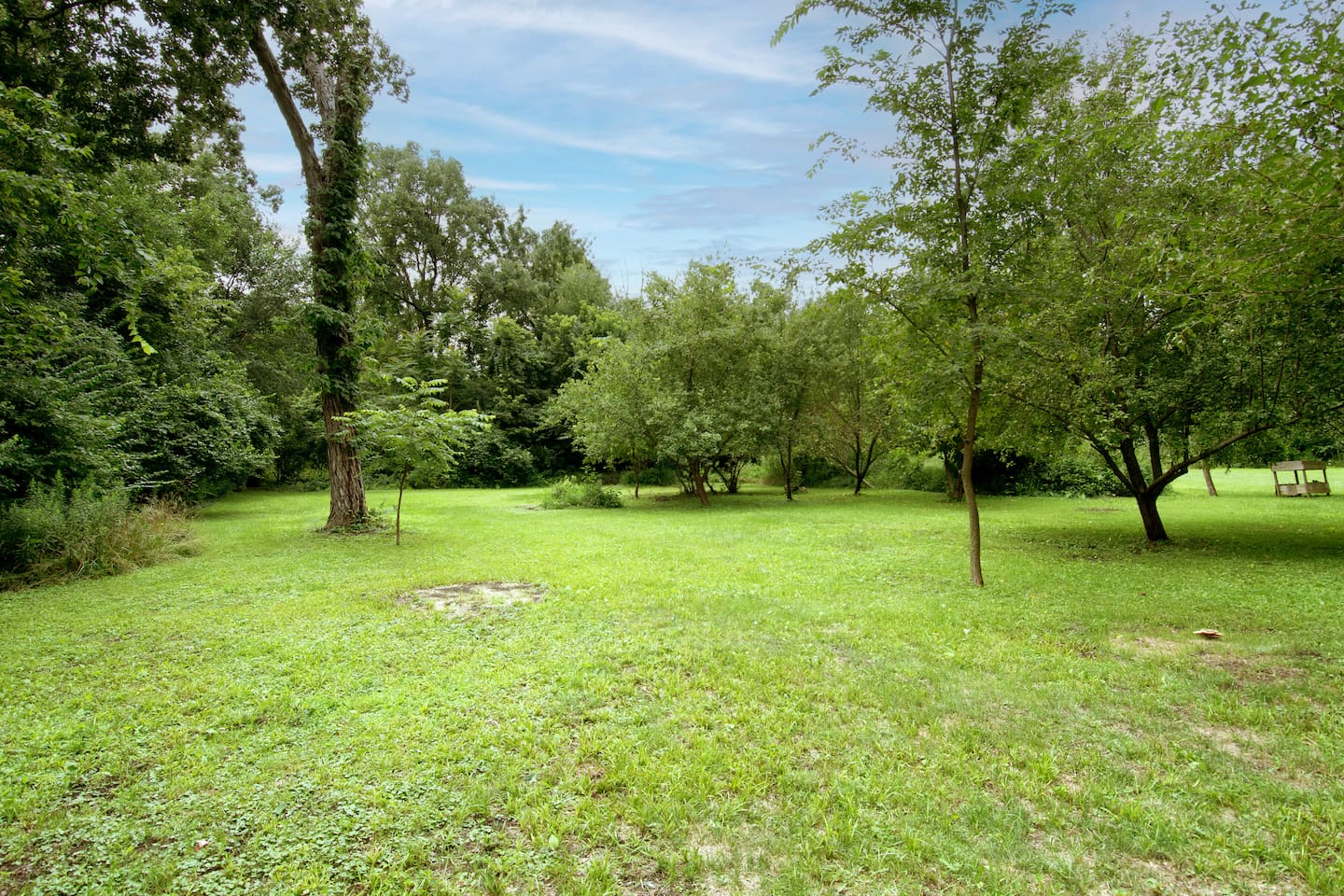 Open grassy area behind the deck.