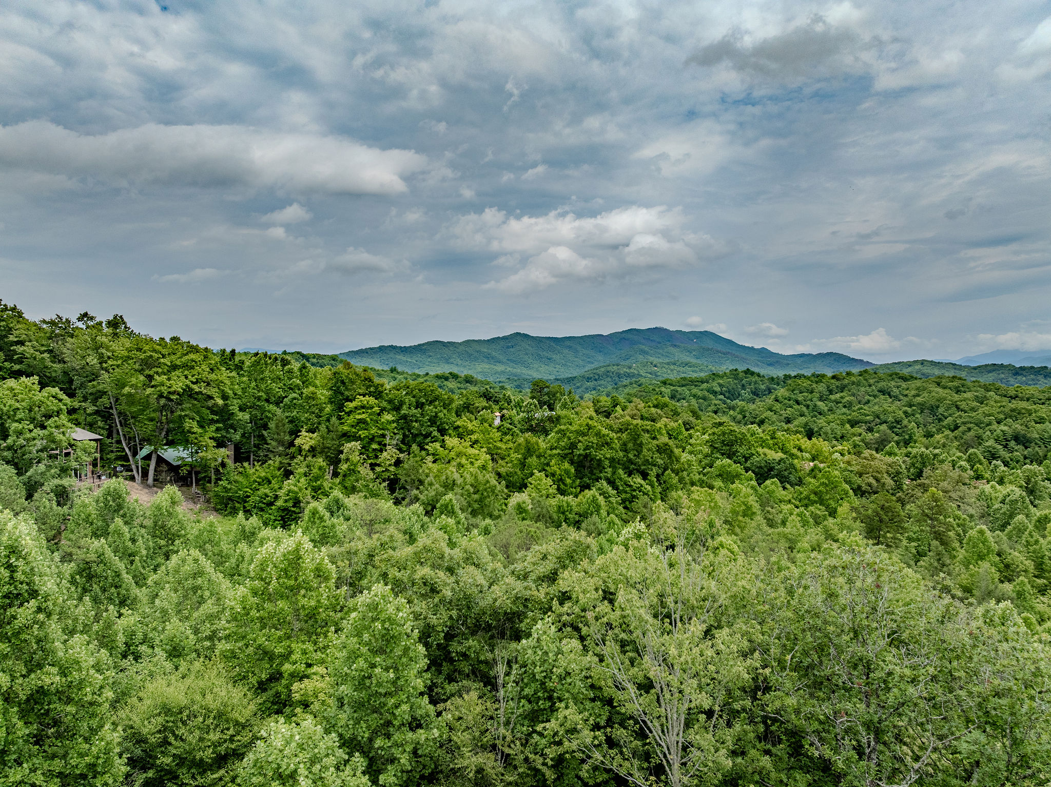 The peaceful wooded surroundings help the cabin feel tucked away from the busier Parkway areas.